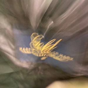 Meet your Posher, Randy